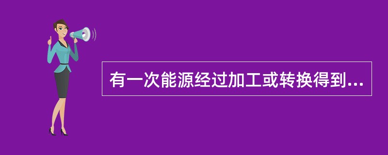 有一次能源经过加工或转换得到的产品称为（）。