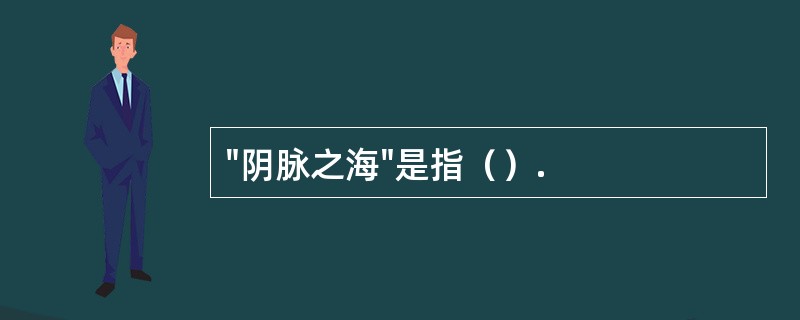 "阴脉之海"是指（）.