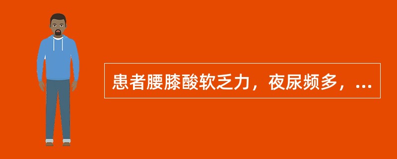 患者腰膝酸软乏力，夜尿频多，阳痿，舌淡苔薄白，脉弱，治疗应选用（）.