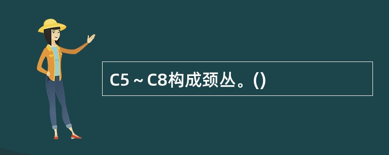 C5～C8构成颈丛。()