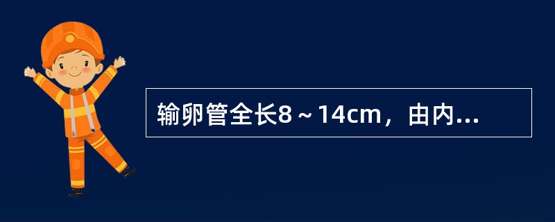 输卵管全长8～14cm，由内向外分别为（）.