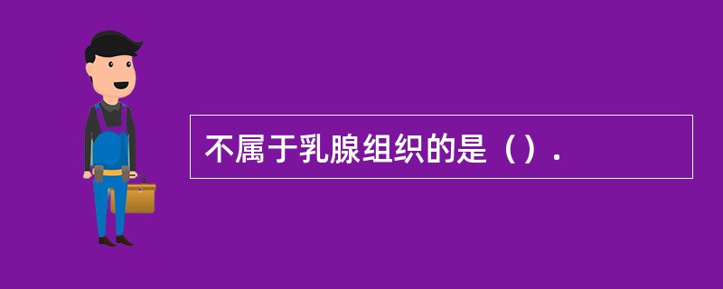 不属于乳腺组织的是（）.