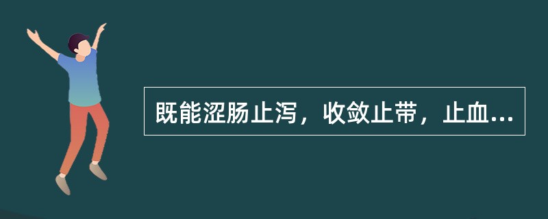 既能涩肠止泻，收敛止带，止血，又能清热燥湿的药物是（）