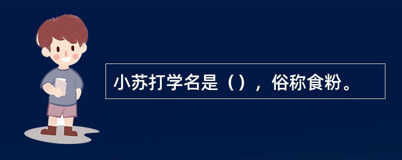 小苏打学名是（），俗称食粉。