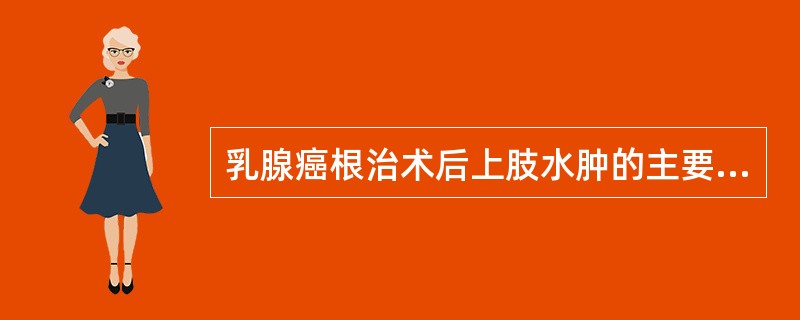 乳腺癌根治术后上肢水肿的主要原因是（）.