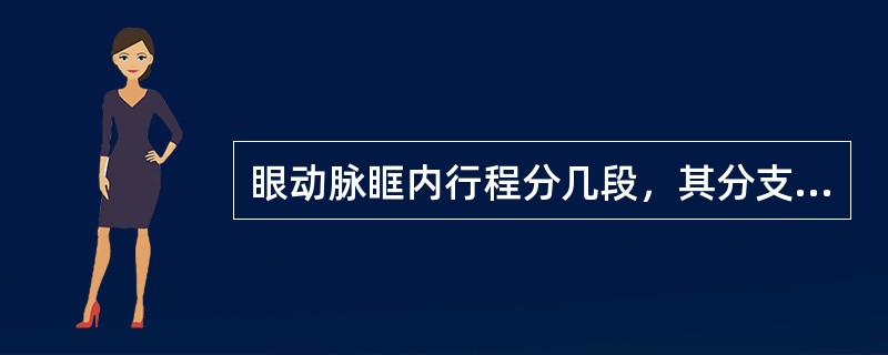 眼动脉眶内行程分几段，其分支名称是（）.