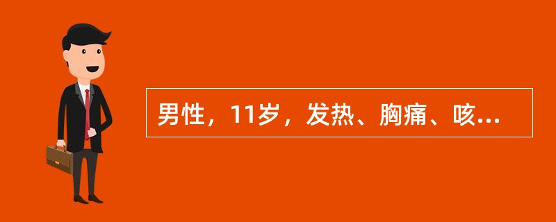 男性，11岁，发热、胸痛、咳嗽约2周，近5天有呼吸困难。体温39℃，脉搏120次