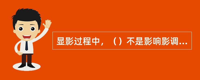 显影过程中，（）不是影响影调的因素。
