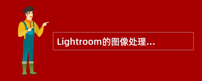 Lightroom的图像处理工具位于（）面板中。