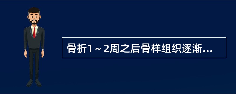 骨折1～2周之后骨样组织逐渐骨化形成骨性骨痂称为（）.