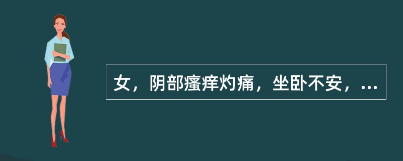 女，阴部瘙痒灼痛，坐卧不安，带下量多，色黄如脓，有臭味，心烦少寐，头眩，口苦咽干