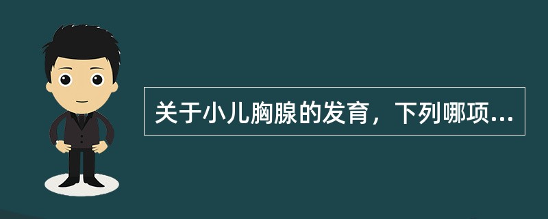 关于小儿胸腺的发育，下列哪项不正确（）