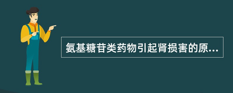 氨基糖苷类药物引起肾损害的原因主要为（）