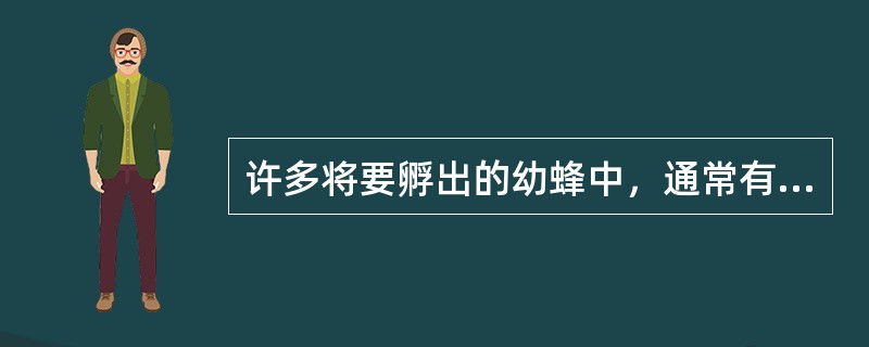 许多将要孵出的幼蜂中，通常有多只将发育成蜂王（即“王储”），但最先孵出的那只蜂王