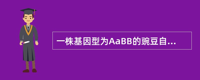 一株基因型为AaBB的豌豆自花传粉后，其子一代基因型的比例（）