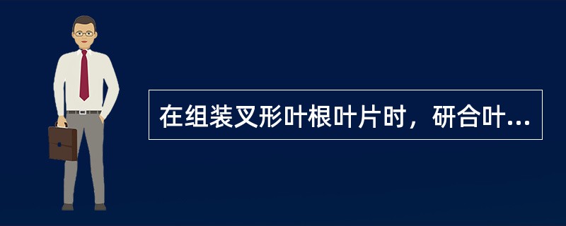 在组装叉形叶根叶片时，研合叶根之间和叶根侧面中应注意些什么？