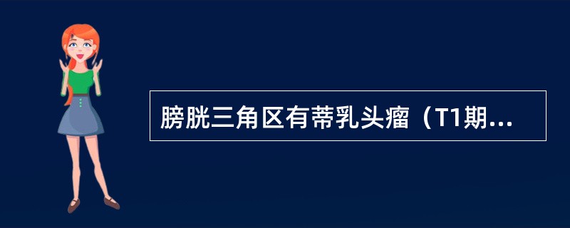 膀胱三角区有蒂乳头瘤（T1期），肿瘤直径小于2cm，治疗应选择（）。