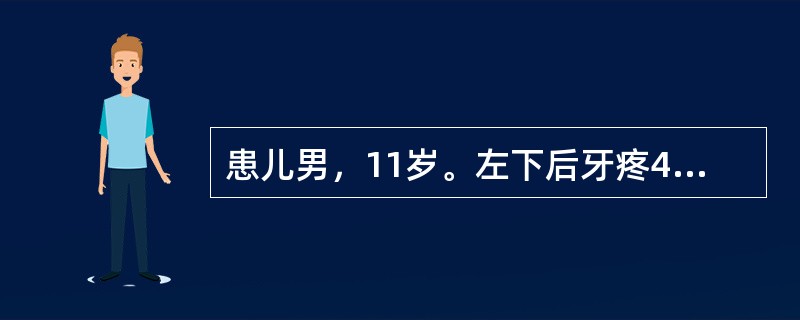 患儿男，11岁。左下后牙疼4天，夜间加重1天，无龋洞。最可能的诊断（）