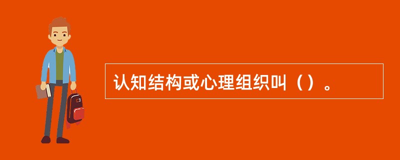 认知结构或心理组织叫（）。