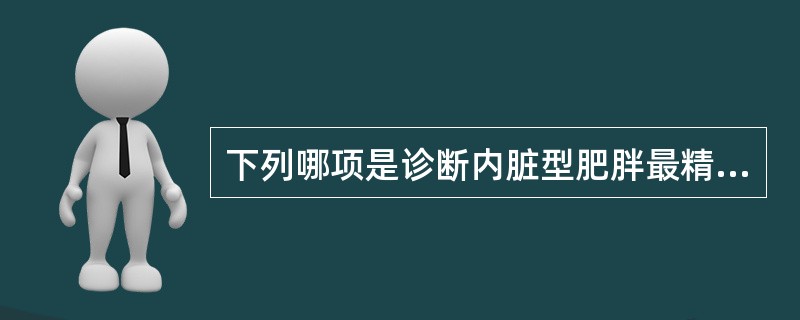 下列哪项是诊断内脏型肥胖最精确的方法（）