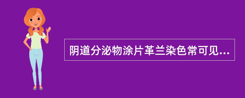 阴道分泌物涂片革兰染色常可见到的细菌有（）。