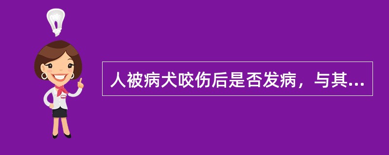 人被病犬咬伤后是否发病，与其无关的因素是（）