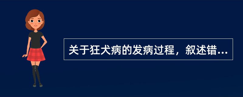 关于狂犬病的发病过程，叙述错误的是（）