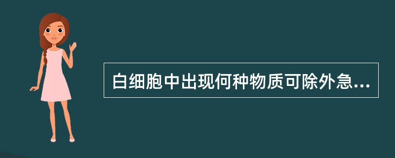 白细胞中出现何种物质可除外急性淋巴细胞白血病（）。