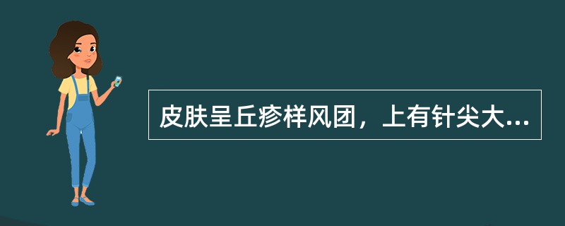 皮肤呈丘疹样风团，上有针尖大的瘀点、丘疹或水疱，散在分布，最有可能的诊断是（）