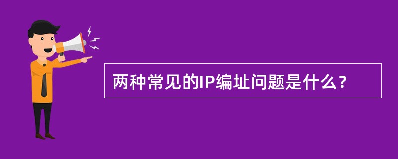 两种常见的IP编址问题是什么？