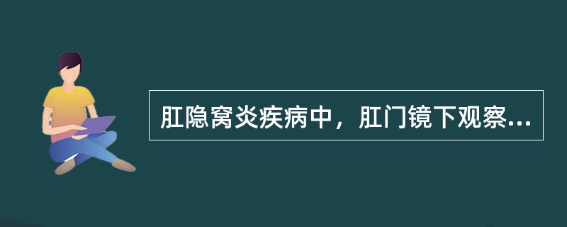 肛隐窝炎疾病中，肛门镜下观察下列哪一项是不正确的：（）