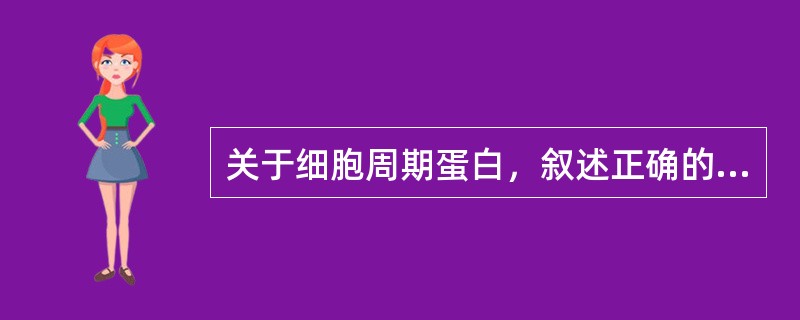 关于细胞周期蛋白，叙述正确的有（）。