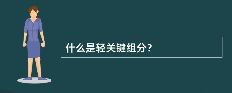 什么是轻关键组分？