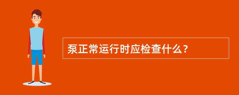 泵正常运行时应检查什么？