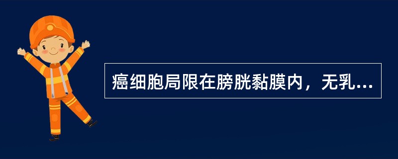 癌细胞局限在膀胱黏膜内，无乳头亦无浸润，称为（）