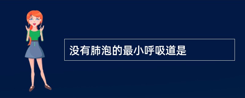 没有肺泡的最小呼吸道是