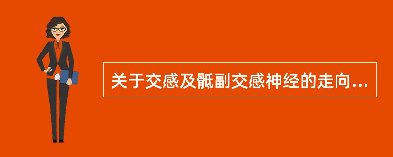 关于交感及骶副交感神经的走向哪个正确