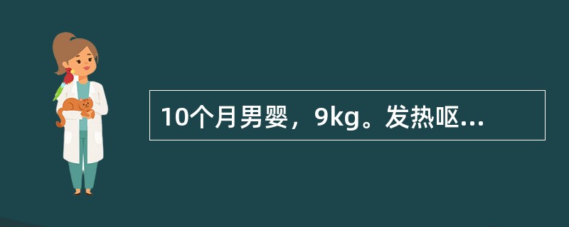 10个月男婴，9kg。发热呕吐腹泻2天，大便蛋花汤样，无腥臭味，尿量明显少。精神