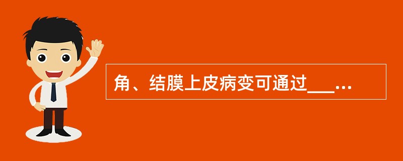 角、结膜上皮病变可通过________方法，检查其________。