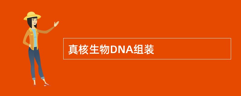 真核生物DNA组装