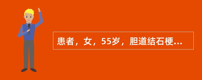 患者，女，55岁，胆道结石梗阻性黄疸，拟行胆囊切除及总胆管探查取石术。术前生化结