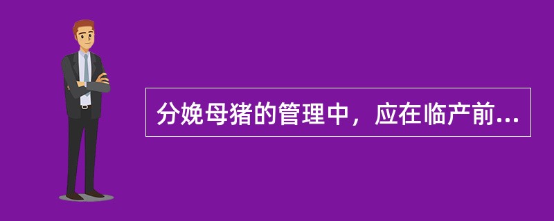 分娩母猪的管理中，应在临产前（）内停止运动