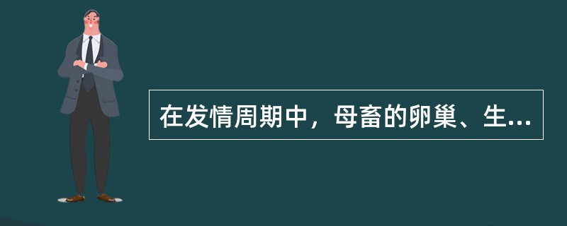 在发情周期中，母畜的卵巢、生殖道、内分泌和性行为都有着周期性的变化。卵巢上的（）