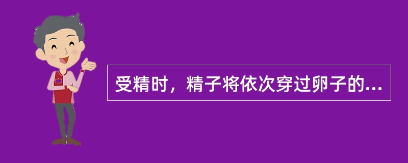 受精时，精子将依次穿过卵子的（）.