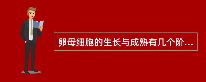 卵母细胞的生长与成熟有几个阶段？受精前卵母细胞一般处于哪个阶段？