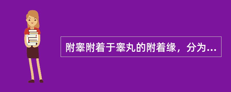 附睾附着于睾丸的附着缘，分为（）几部分.