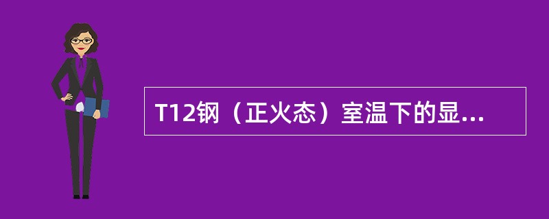 T12钢（正火态）室温下的显微组织为（）。