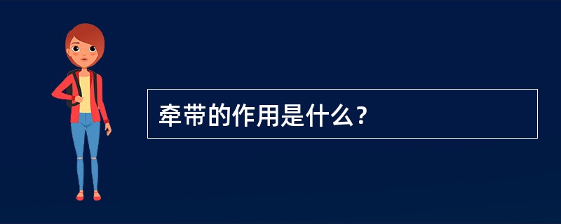 牵带的作用是什么？