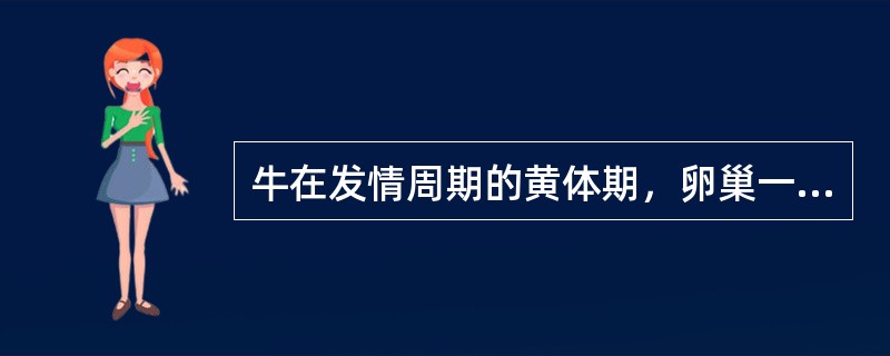 牛在发情周期的黄体期，卵巢一般不会出现卵泡发育。（）