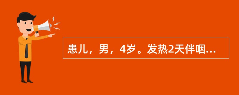 患儿，男，4岁。发热2天伴咽痛。查体：咽部充血，咽腭弓、悬雍垂、软腭处可见2～4